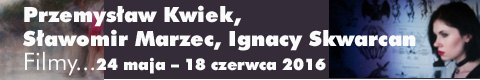 Galeria xx1 - Przemysław Kwiek, Sławomir Marzec, <br>Ignacy Skwarcan   „Filmy…”