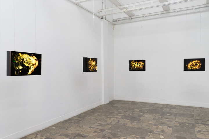 Widok sali wystawowej. W przestrzeni galerii zawieszone są gabloty z podświetlonymi zdjęciami przedstawiającymi abstrakcyjne organiczne formy w żółciach, brązach i czerni. 