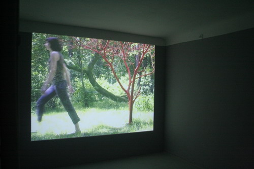 Marta Szulc, Homeland, Galeria XX1